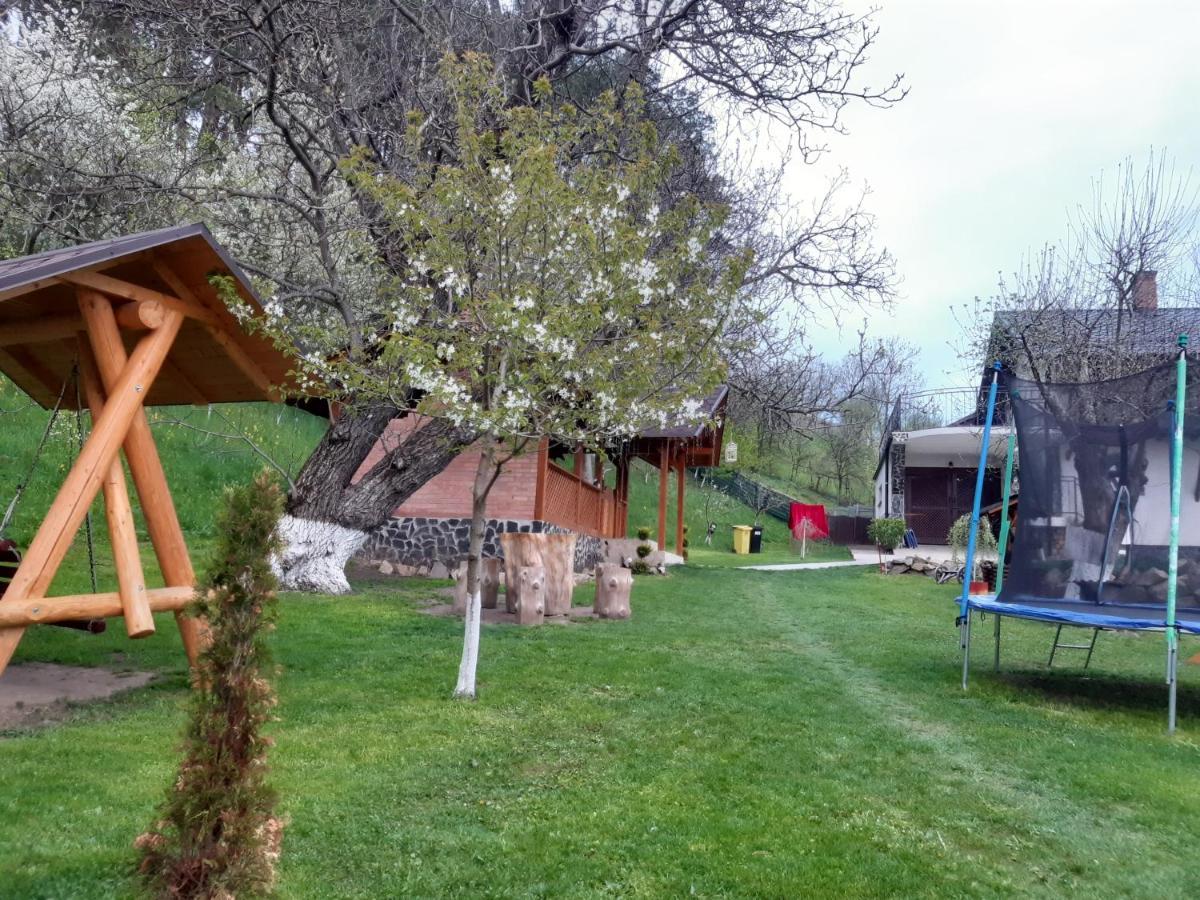 Villa Casa Dintre Pini Păltinoasa Exterior foto